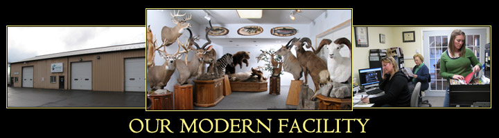 Our Taxidermy Facility - Located in Middletown, CT