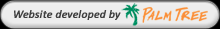 website developed by plam tree