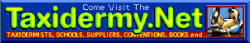 taxidermy.net