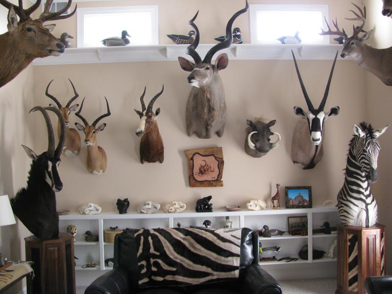 Trophy Room Services at Northeast Taxidermy Studios