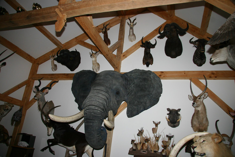 Trophy Room Services at Northeast Taxidermy Studios